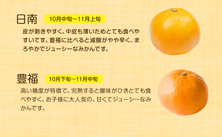 山本果樹園の旬のみかん 10kg 山本果樹園《９月中旬-2月末頃出荷予定》蜜柑 柑橘 ひのあかり 日南 豊福　肥後早生 青島 旬の品種をお届け！フルーツ 果物