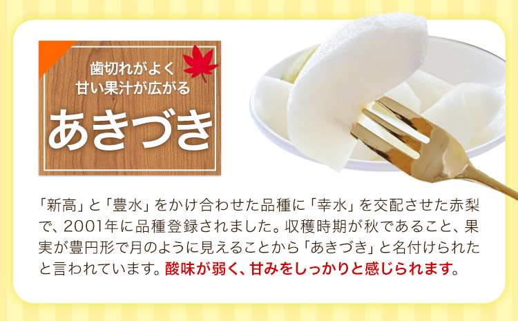 熊本県氷川町産 鋤先梨農園の梨 約5kg 鋤先梨農園 《8月下旬-10月中旬頃出荷》 熊本県 氷川町 あきづき 甘太 新高 新興 旬
