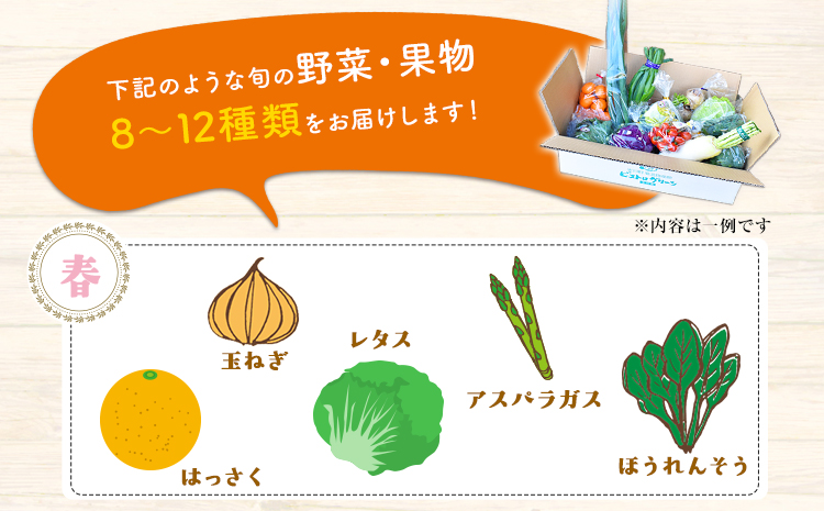 6ヶ月定期便 旬の新鮮野菜・果物詰合せセット(計6回お届け) たっぷり8-12品目 《お申込み月の翌月から出荷開始》熊本県氷川町産 道の駅竜北