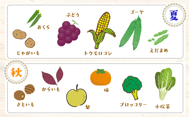 6ヶ月定期便 旬の新鮮野菜・果物詰合せセット(計6回お届け) たっぷり8-12品目 《お申込み月の翌月から出荷開始》熊本県氷川町産 道の駅竜北