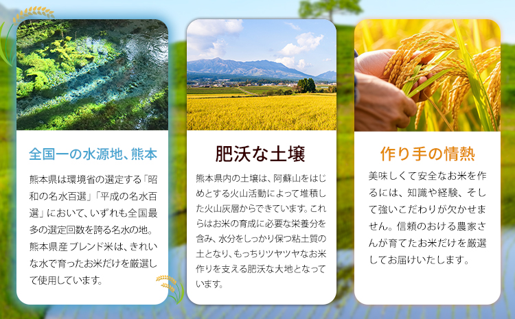 縲12繝カ譛亥ョ壽悄萓ソ縲代イ縺斐∩縺ョ繧 辟。豢礼アウ 辭頑悽逵檎肇 繝悶Ξ繝ウ繝臥アウ 20kg 辭頑悽逵檎肇 縺オ繧九&縺ィ邏咲ィ 邊セ邀ウ 邀ウ 縺薙a 縺オ繧九&縺ィ縺ョ縺縺懊> 繧ウ繝。 縺顔アウ 縺翫%繧√翫♀逕ウ霎シ縺ソ鄙梧怦縺九i蜃コ闕キ縲