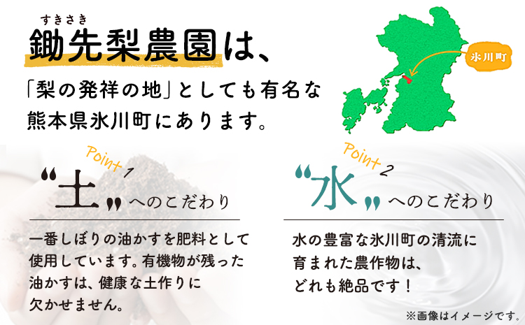 熊本県氷川町産 鋤先梨農園の梨 約5kg 鋤先梨農園 《8月下旬-10月中旬頃出荷》 熊本県 氷川町 あきづき 甘太 新高 新興 旬