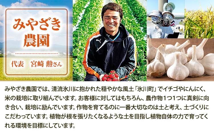 冷凍いちご 約1kg みやざき農園《30日以内に出荷予定(土日祝除く)》熊本県 氷川町 いちご イチゴ ひのしずく 国産 冷凍いちご フルーツ ストロベリー 冷凍 お菓子作り 送料無料