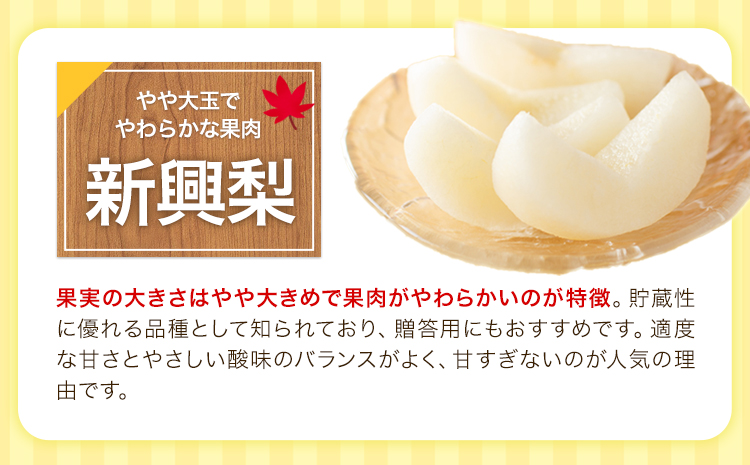 熊本県氷川町産 鋤先梨農園の梨 約5kg 鋤先梨農園 《8月下旬-10月中旬頃出荷》 熊本県 氷川町 あきづき 甘太 新高 新興 旬