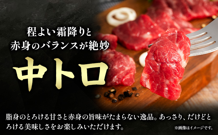 馬肉 ふじ 馬刺し バラエティー 詰合せ 約370g 道の駅竜北《60日以内に出荷予定(土日祝除く)》 熊本県 氷川町 肉 馬肉 トロ 中トロ チョーチン ユッケ バラヒモ イチボ ふじ馬刺し セット 食べ比べ