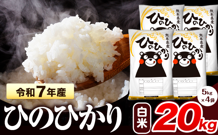 令和7年産  ひのひかり 白米 20kg 《7-14日以内に出荷予定(土日祝除く)》 熊本県産 白米 精米 氷川町 ひの 送料無料 ヒノヒカリ コメ 便利 ブランド米 お米 おこめ 熊本 SDGs