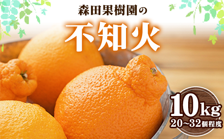 森田果樹園の不知火 10kg 20〜32個程度　《2027年2月中旬-4月下旬頃出荷》森田果樹園 果物 フルーツ 柑橘 熊本