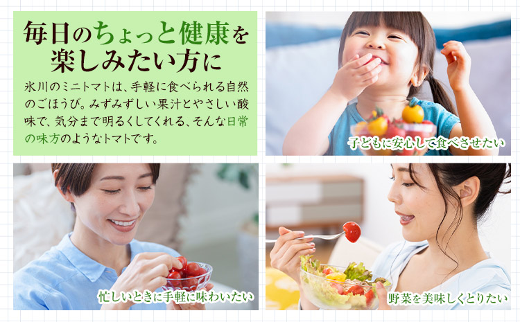 ミニトマト 約1kg 氷川アグリクラブ トマト 熊本《2月上旬-4月末頃出荷》熊本県 氷川町 野菜 熊本県産 サラダ プチトマト 国産