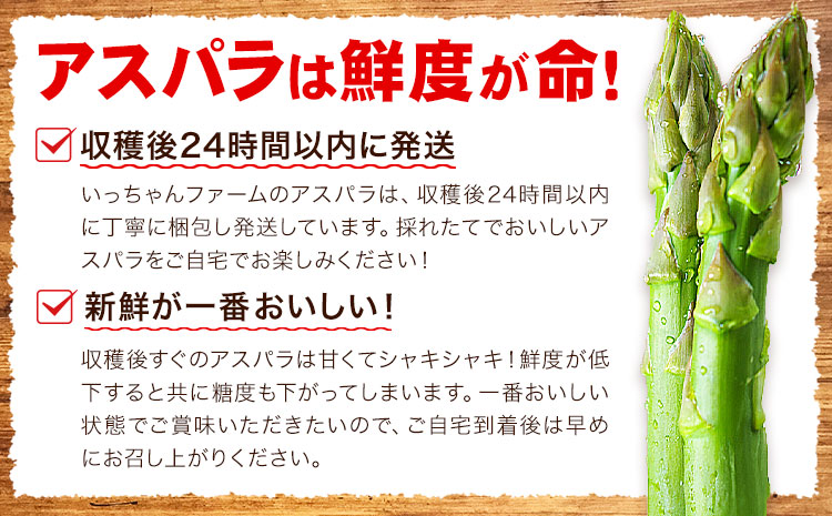 アスパラガス 約600g いっちゃんファーム《2025年2月下旬-3月下旬頃出荷予定》熊本県 氷川町 氷川産 野菜 アスパラガス アスパラ