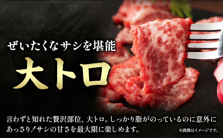 馬肉 ふじ 馬刺し 霜降り馬刺し 3種 約 240g 道の駅竜北《60日以内に出荷予定(土日祝除く)》 熊本県 氷川町 肉 馬肉 トロ 中トロ 大トロ ふじ馬刺し セット 食べ比べ