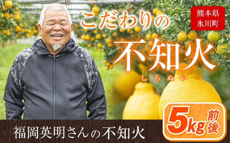 福岡農園 不知火 5kg《1-5日以内に出荷予定(土日祝除く)》熊本県 氷川町 柑橘 果物 フルーツ