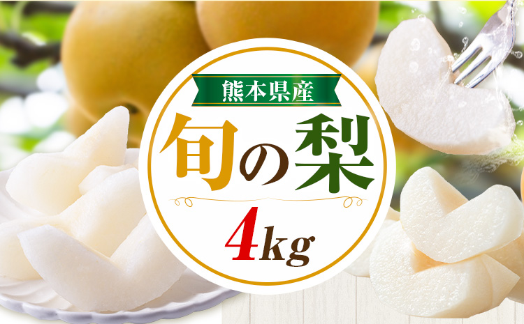 先行予約 旬の梨 梨 約4kg 株式会社エフビーネット《7月上旬-10月下旬頃出荷》熊本県 氷川町 果物 フルーツ 熊本県産 青果物 和梨 ジューシー