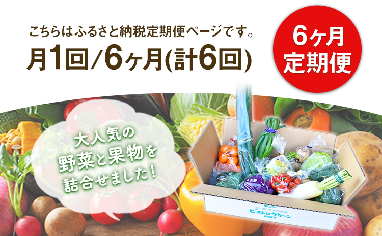 6ヶ月定期便 旬の新鮮野菜・果物詰合せセット(計6回お届け) たっぷり8-12品目 《お申込み月の翌月から出荷開始》熊本県氷川町産 道の駅竜北