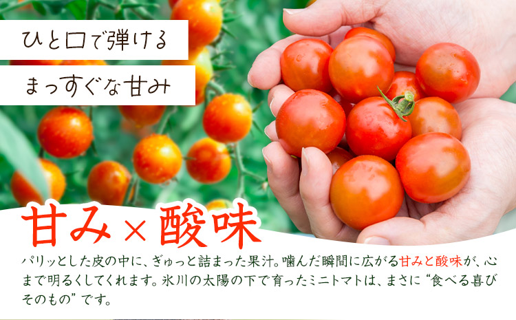 ミニトマト 約2kg 氷川アグリクラブ トマト 熊本《2月上旬-4月末頃出荷》熊本県 氷川町 野菜 熊本県産 サラダ プチトマト 国産