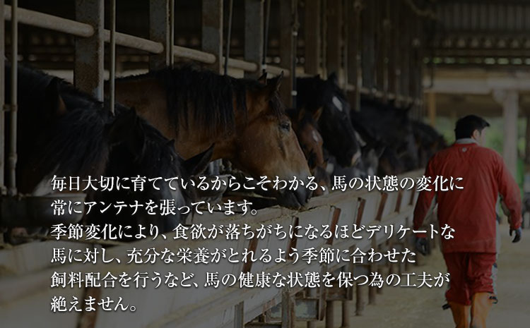 馬ヒレステーキ200g【純国産熊本肥育】《30日以内に出荷予定(土日祝除く)》