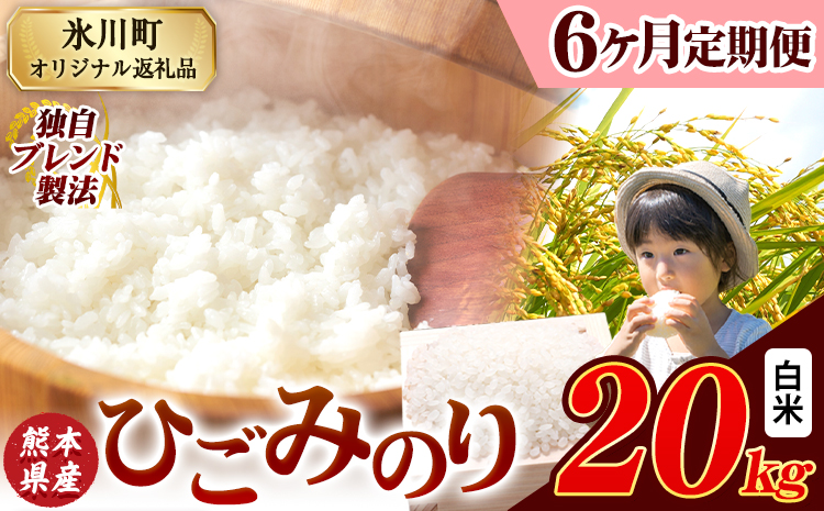 【6ヶ月定期便】ひごみのり 白米 熊本県産 ブレンド米 20kg 熊本県産 ふるさと納税  精米 米 こめ ふるさとのうぜい コメ お米 おこめ《お申込み翌月から出荷》