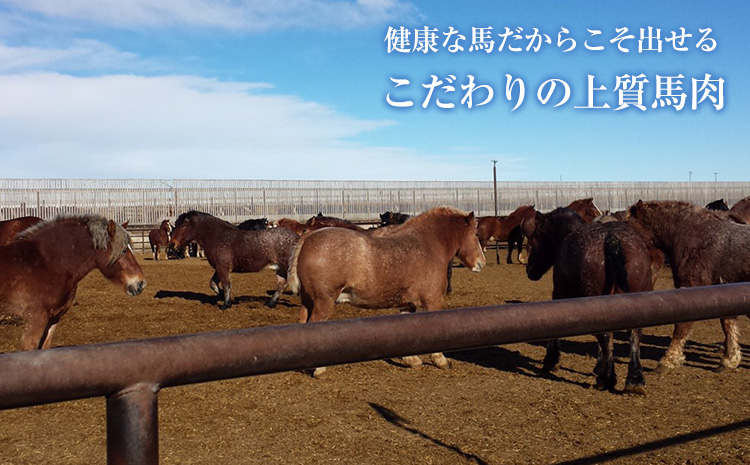 馬刺しの皿盛り(スライス)640g【熊本肥育】《30日以内に出荷予定(土日祝除く)》赤身400g/フタエゴ120g/コーネ120g(タレ5ml×6袋)