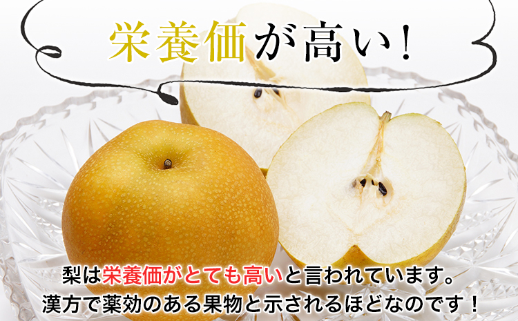 熊本県氷川町産 吉野梨 品種おまかせ 約5kg(10〜12玉前後) 《8月中旬-9月末頃出荷》 