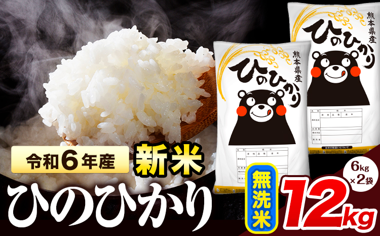 令和6年産 新米 早期先行予約受付中 ひのひかり 無洗米 12kg 《11月‐12月より出荷予定》 熊本県産 無洗米 精米 氷川町 ひの 送料無料 ヒノヒカリ コメ 便利 ブランド米 お米 おこめ 熊本 SDGs