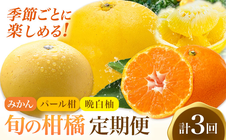 旬の柑橘定期便 山本果樹園 旬のみかん 約5kg パール柑 約5kg 晩白柚 2玉（Lサイズ）《11月上旬-2月下旬頃出荷》果物 フルーツ ザボン 熊本県 特産品