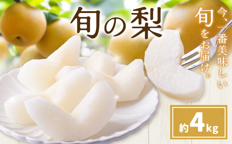 先行予約 旬の梨 梨 約4kg 株式会社エフビーネット《7月上旬-10月下旬頃出荷》熊本県 氷川町 果物 フルーツ 熊本県産 青果物 和梨 ジューシー