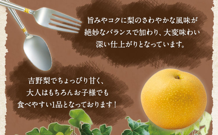 吉野梨カレー 180g×6食入 《60日以内に出荷予定(土日祝除く)》熊本県氷川町産 道の駅竜北