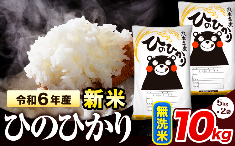 令和6年産 新米 早期先行予約受付中 ひのひかり 無洗米 10kg 《11月‐12月より出荷予定》 熊本県産 無洗米 精米 氷川町 ひの 送料無料 ヒノヒカリ コメ 便利 ブランド米 お米 おこめ 熊本 SDGs