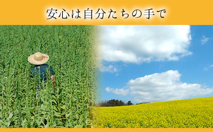 「堀内製油」の地あぶら（なたね油）455g×6本 《60日以内に出荷予定(土日祝除く)》熊本県氷川町産