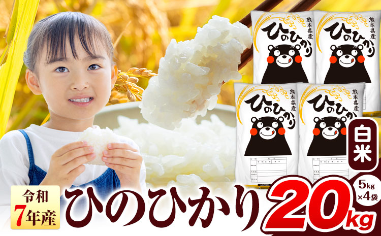 令和7年産  ひのひかり 白米 20kg 《7-14日以内に出荷予定(土日祝除く)》 熊本県産 白米 精米 氷川町 ひの 送料無料 ヒノヒカリ コメ 便利 ブランド米 お米 おこめ 熊本 SDGs