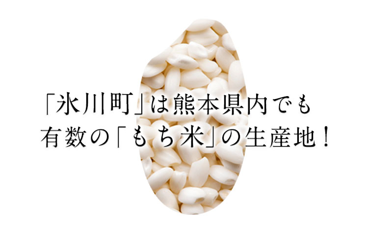 餅米味噌・合わせ味噌セット 700g×4個 《60日以内に出荷予定(土日祝除く)》熊本県氷川町産 道の駅竜北