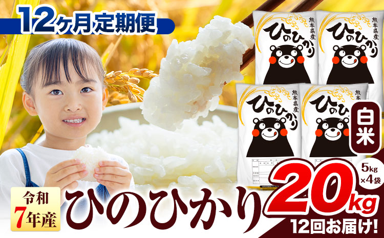 令和7年産 白米 【12ヶ月定期便】 ひのひかり 20kg《お申込み翌月から出荷》 熊本県産 白米 精米 氷川町 ひの 送料無料 ヒノヒカリ コメ 便利 ブランド米 お米 おこめ 熊本
