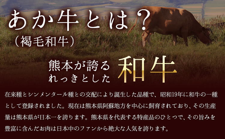 あか牛（褐毛和牛） サーロイン ステーキ 500g 牛肉 冷凍《2026年1月中旬-3月末頃出荷》