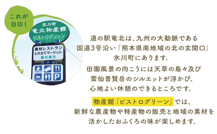 晩白柚ドレッシングセット オイル ノンオイル 各2本 《60日以内に出荷予定(土日祝除く)》熊本県氷川町産 道の駅竜北