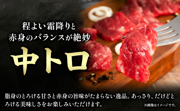 馬肉 ふじ 馬刺し 人気3種詰合せ 約 240g 道の駅竜北《60日以内に出荷予定(土日祝除く)》 熊本県 氷川町 肉 馬肉 中トロ 大トロ 上赤身 ふじ馬刺し セット 食べ比べ