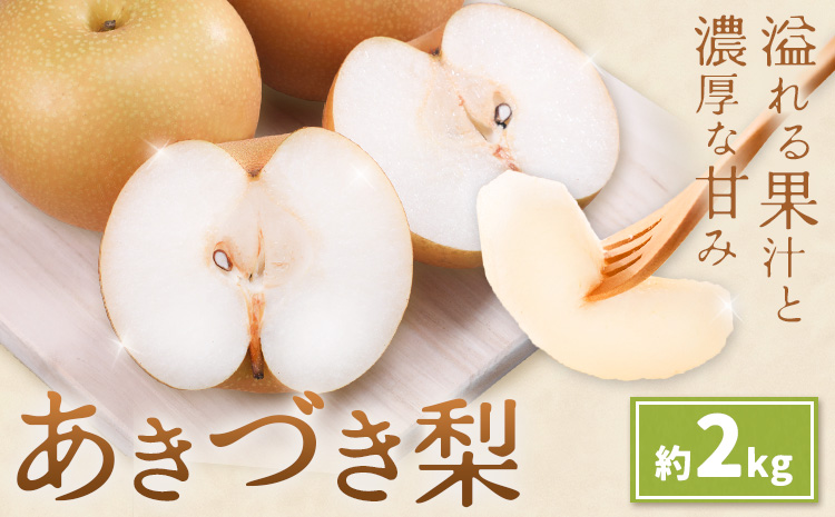 先行予約 あきづき梨 あきづき 梨 約2kg 株式会社エフビーネット《8月下旬-9月下旬頃出荷》熊本県 氷川町 果物 フルーツ 熊本県産 青果物 和梨 ジューシー