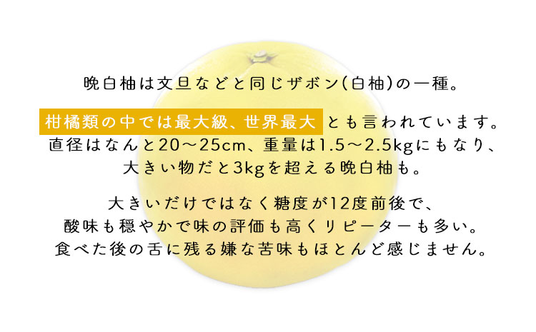 晩白柚もなか 12個入り(6個入り×2箱) 《30日以内に出荷予定(土日祝除く)》道の駅竜北