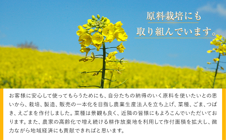 「堀内製油」の地あぶら (なたね油) 455g×6本 堀内製油《60日以内に出荷予定(土日祝を除く)》熊本県 氷川町 地あぶら なたね 菜種油 オイル 熊本県氷川町産