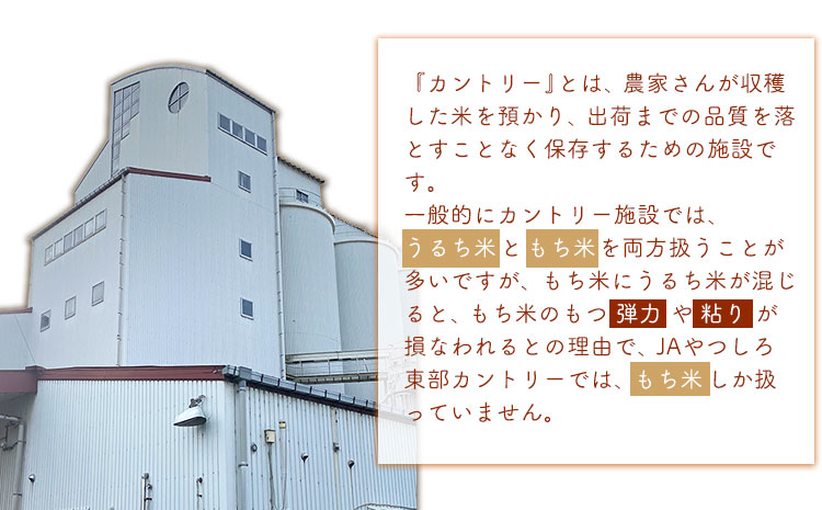 蓮華の花園(もち米) 10kg 精米 JAやつしろカントリー利用組合 熊本県 氷川町《30日以内に出荷予定(土日祝除く)》