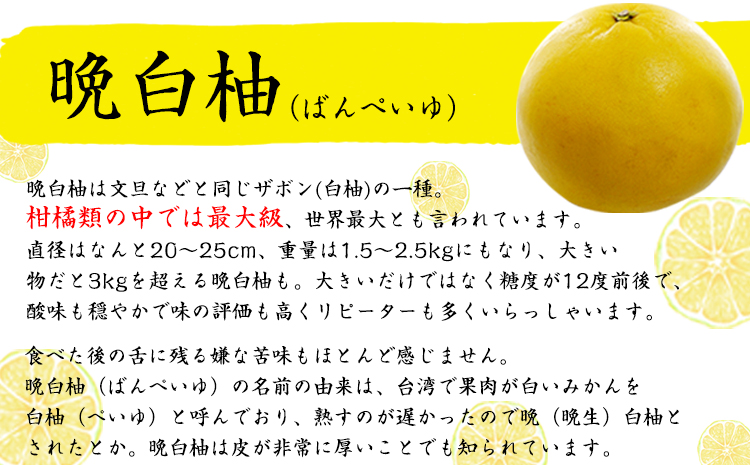 「はやし屋」の晩白柚のお酒 2本セット 《30日以内に出荷予定(土日祝除く)》 熊本県氷川町産