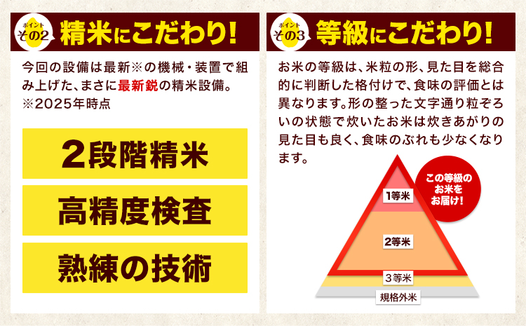 令和7年産 白米 【隔月6回定期便】 ひのひかり 10kg《お申込み翌月から出荷》 熊本県産 白米 精米 氷川町 ひの 送料無料 ヒノヒカリ コメ 便利 ブランド米 お米 おこめ 熊本