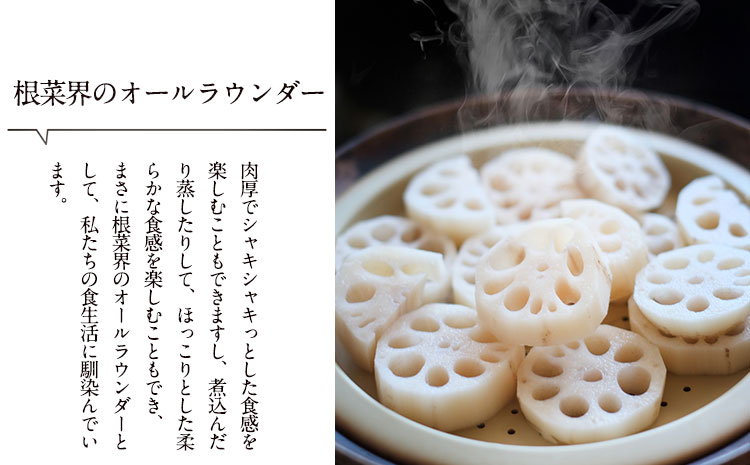 繝ャ繝ウ繧ウ繝ウ 邏3kg 辭頑悽逵梧ーキ蟾晉伴逕」 縲11譛井ク区流-3譛域忰鬆蜃コ闕キ縲矩%縺ョ鬧遶懷圏