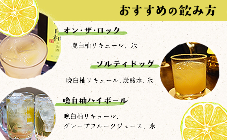 「はやし屋」の晩白柚のお酒 2本セット 《30日以内に出荷予定(土日祝除く)》 熊本県氷川町産