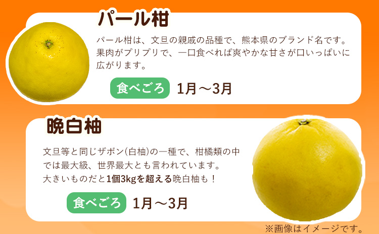 柑橘詰め合わせセット(5種類・10kg以上) 山本果樹園《12月上旬-1月上旬頃出荷予定》果物 フルーツ みかん