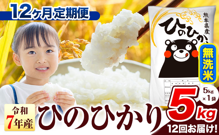 令和7年産 無洗米 【12ヶ月定期便】 ひのひかり 5kg《お申込み翌月から出荷》 熊本県産 無洗米 精米 氷川町 ひの 送料無料 ヒノヒカリ コメ 便利 ブランド米 お米 おこめ 熊本