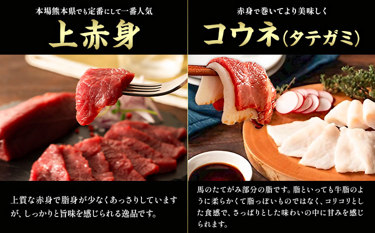 馬肉 馬刺し セット 贅沢馬刺しセット 11種入り 約850g タレ 生おろし生姜付き 道の駅竜北《60日以内に出荷予定(土日祝除く)》 熊本県 氷川町 肉 メン 三枚バラ 大トロ 中トロ ヒレ ロース ランプ チョーチン イチボ フタエゴ 上赤身 コウネ