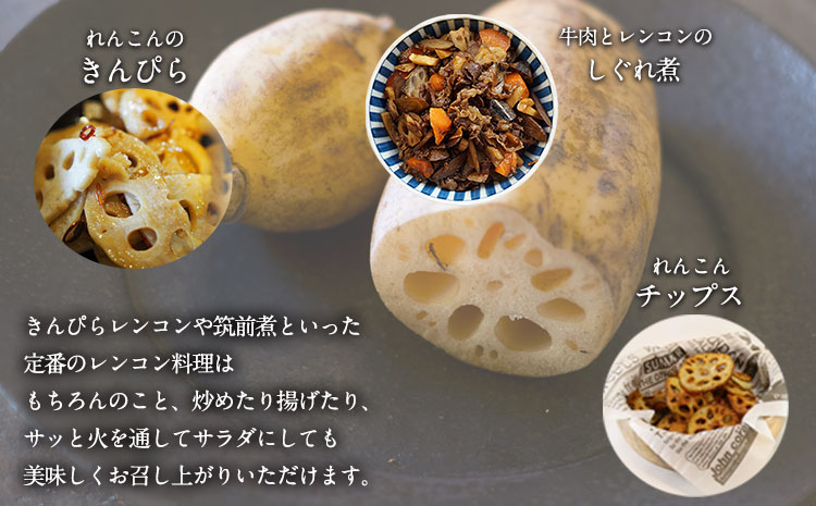 繝ャ繝ウ繧ウ繝ウ 邏3kg 辭頑悽逵梧ーキ蟾晉伴逕」 縲11譛井ク区流-3譛域忰鬆蜃コ闕キ縲矩%縺ョ鬧遶懷圏