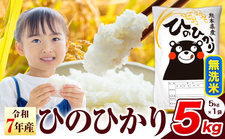 令和7年産  ひのひかり 無洗米 5kg 《7-14日以内に出荷予定(土日祝除く)予定》 熊本県産 無洗米 精米 氷川町 ひの 送料無料 ヒノヒカリ コメ 便利 ブランド米 お米 おこめ 熊本 SDGs