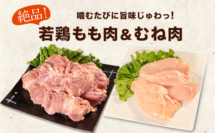 熊本県産 若鶏むね肉 約2kg×2袋/もも肉 約2kg×1袋 計3袋 《30日以内に出荷予定(土日祝除く)》 たっぷり大満足！計6kg！