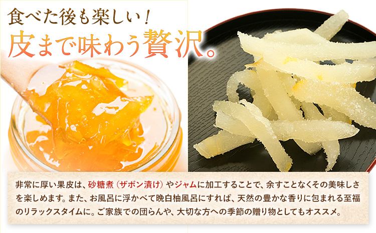 先行予約 晩白柚 約3kg 株式会社エフビーネット《12月上旬-1月下旬頃出荷》熊本県 氷川町 果物 フルーツ 熊本県産 ジューシー ばんぺいゆ バンペイユ