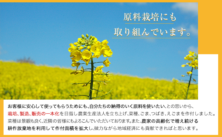 「堀内製油」の地あぶら（なたね油）455g×6本 《60日以内に出荷予定(土日祝除く)》熊本県氷川町産